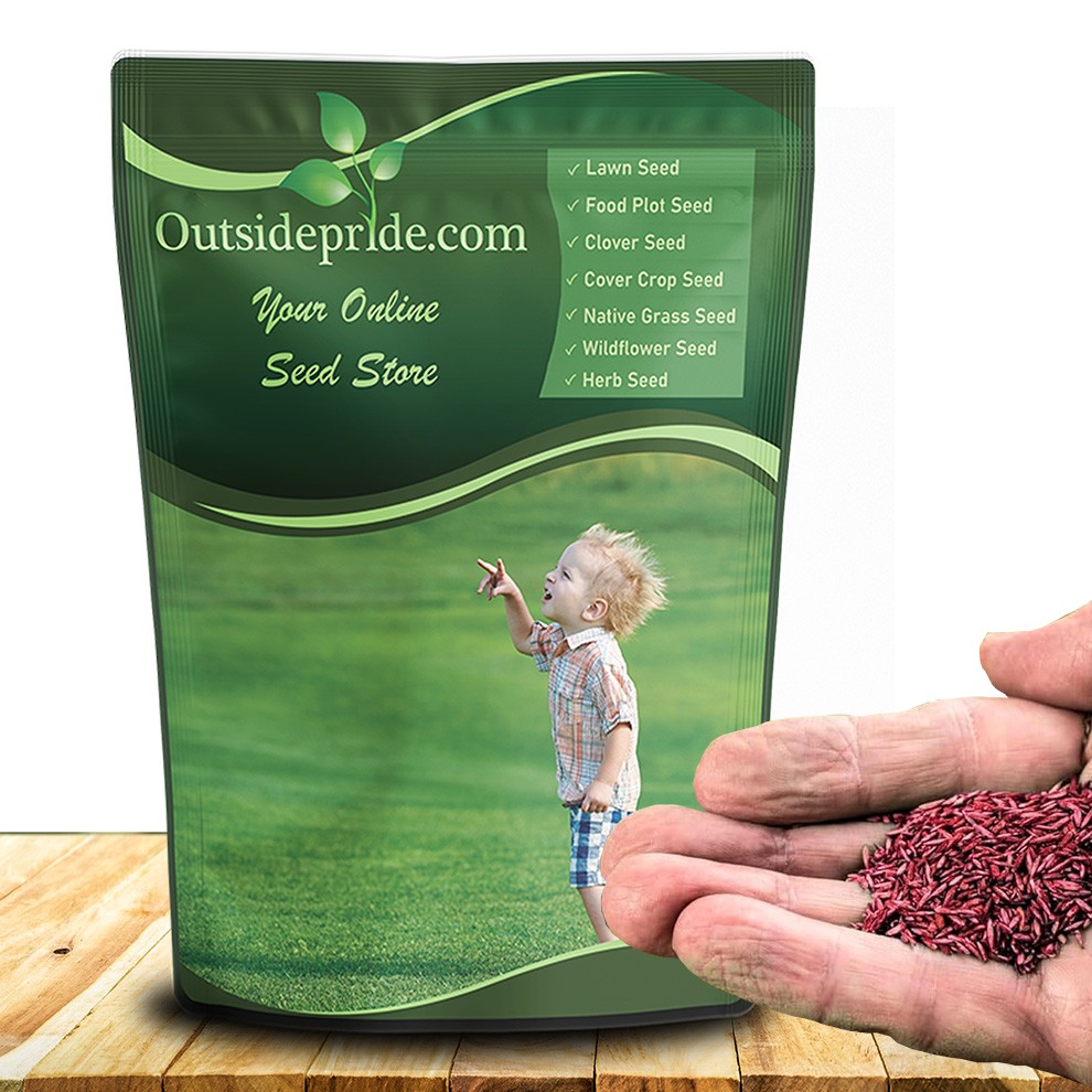 25 LBS – OptiGrowth Coated Showtime grass seed mix of fine fescue, Kentucky
