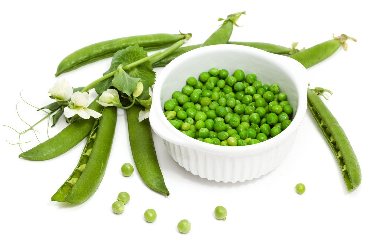 THOMAS LAXTON ENGLISH GARDEN PEA (Pisum sativum) – 30 SEEDS – Non-GMO