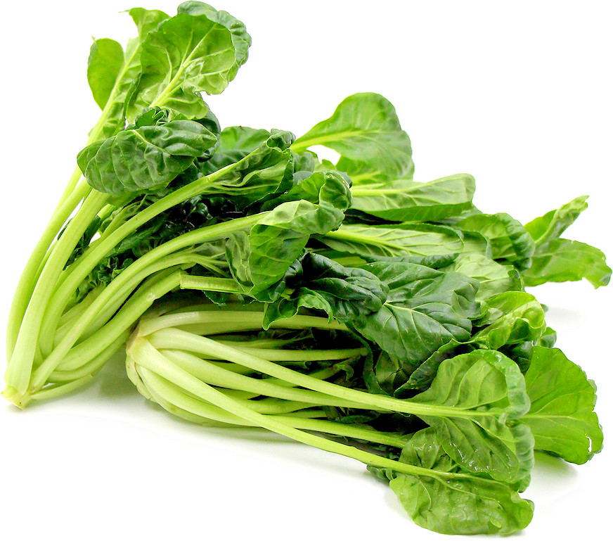 601+TAT SOI Cabbage Seeds Organic Spring Fall Vegetable Garden Containers Asian