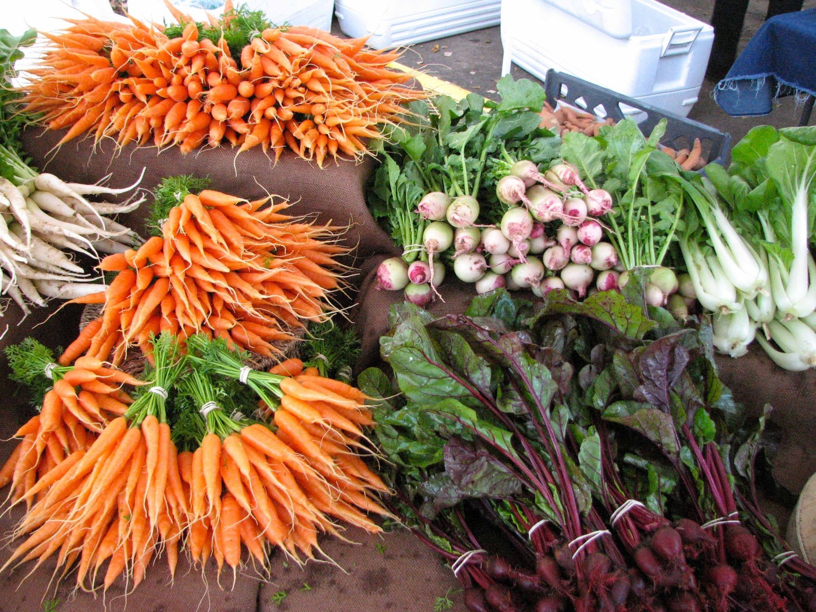 Vegetable Seed Lot $1.99 each 121 Heirloom Varieties For GARDEN/STORAGE non gmo