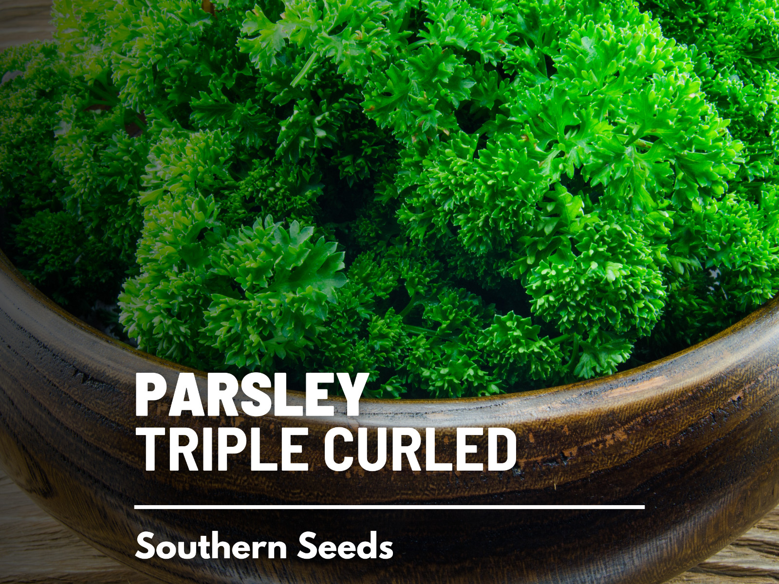 Parsley, Triple Curled- 200 Seeds – GMO Free (Petroselinum crispum)