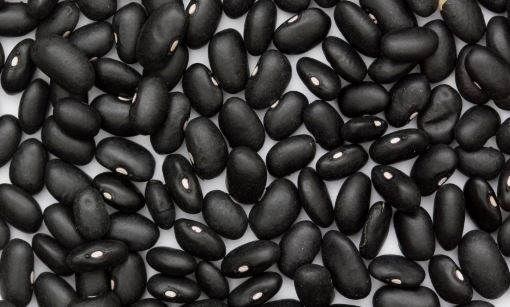 30 ORGANIC BLACK TURTLE BEAN SEEDS (Phaseolus vulgaris) Protein Vegetable Legume