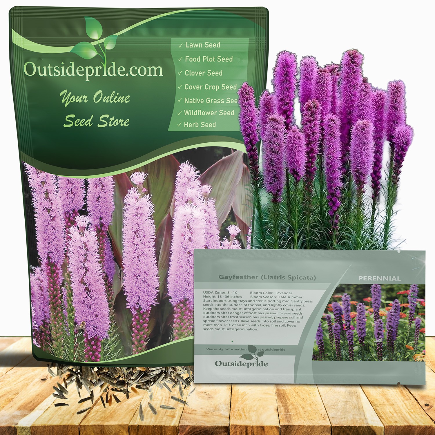 1 LB Drought Resistant Gayfeather Liatris Spicata Wildflower Plant Seed