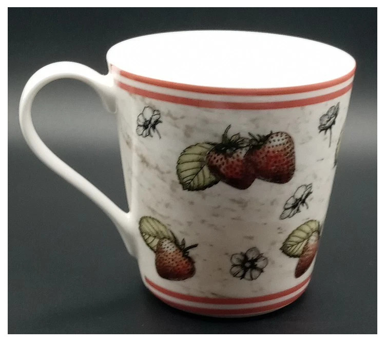 Queens Fine Bone China Vintage Country Garden Strawberry Teacup