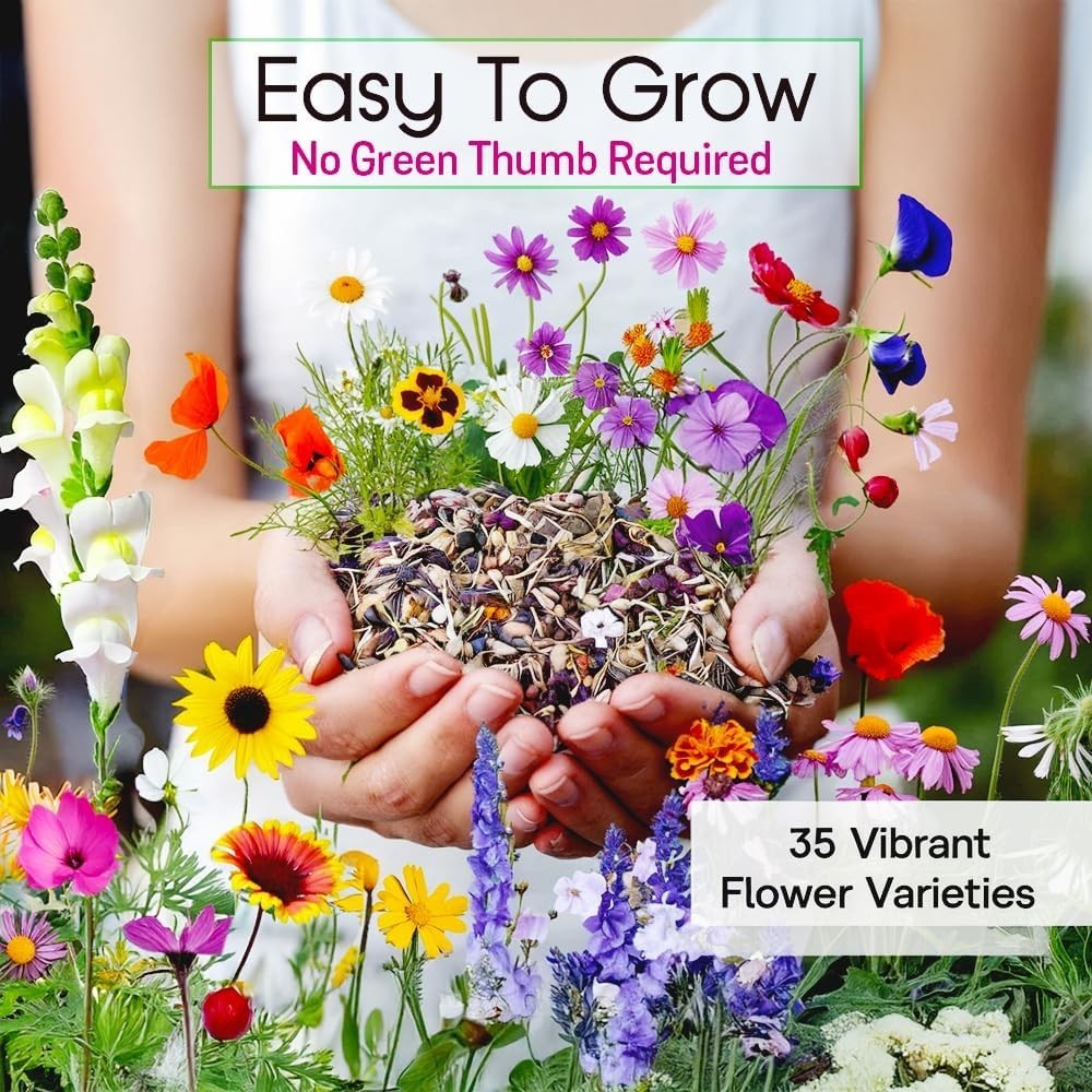 Attract Pollinators with 340,000 Non-GMO Wildflower Seeds – 35 Flower Varieties