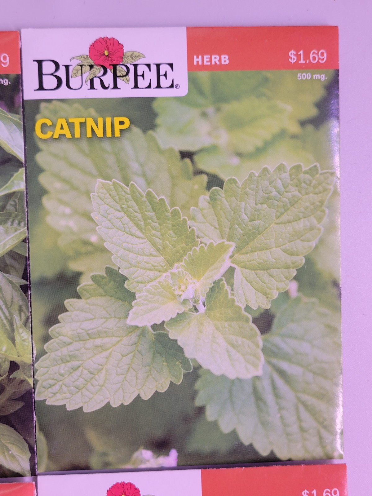 Burpee Herb Seed Assortment 1 (2021) New Sealed Inventory Guaranteed to Sprout