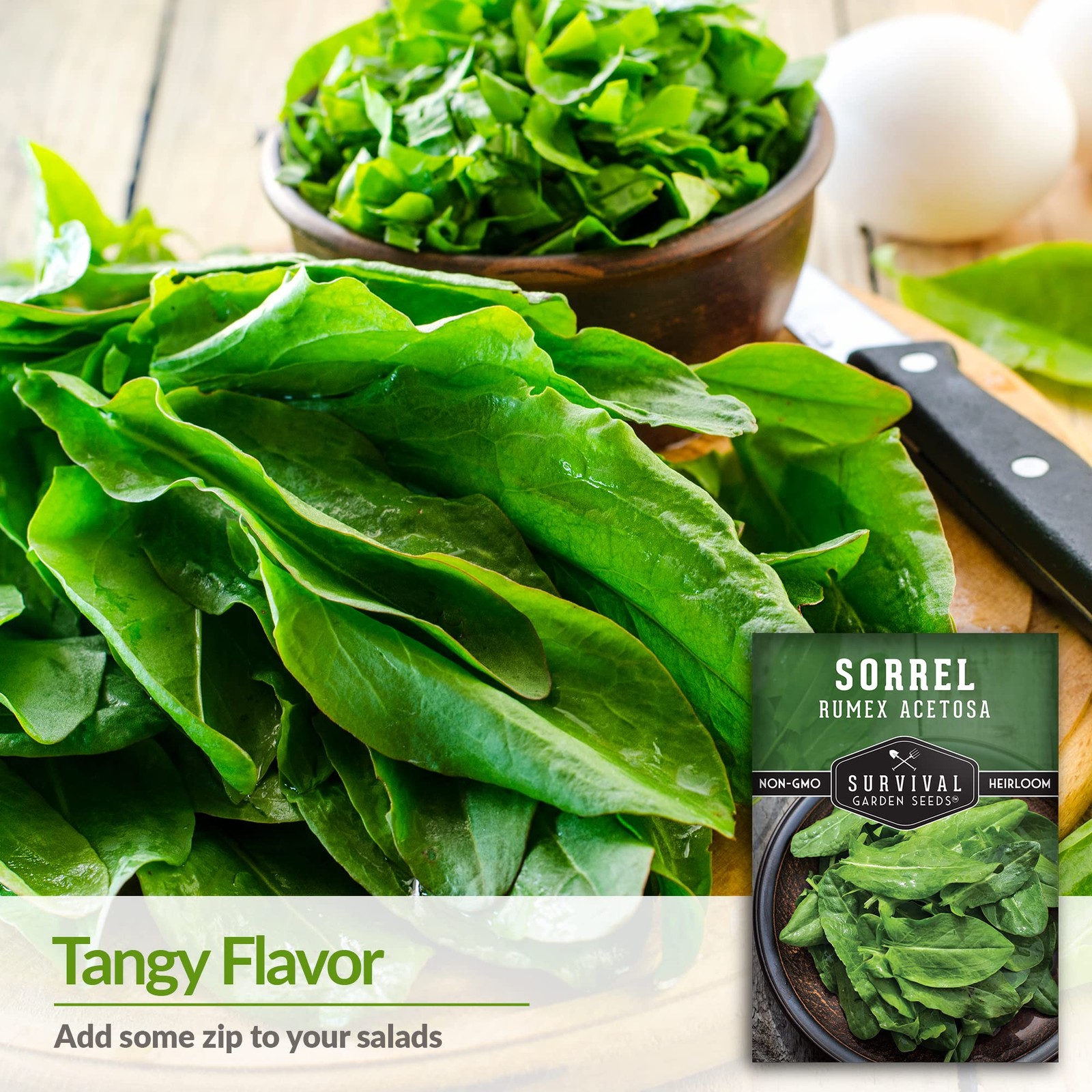 “Large Leaf Sorrel Seeds – Cool Weather Perennial Edible Greens – Non-GMO”
