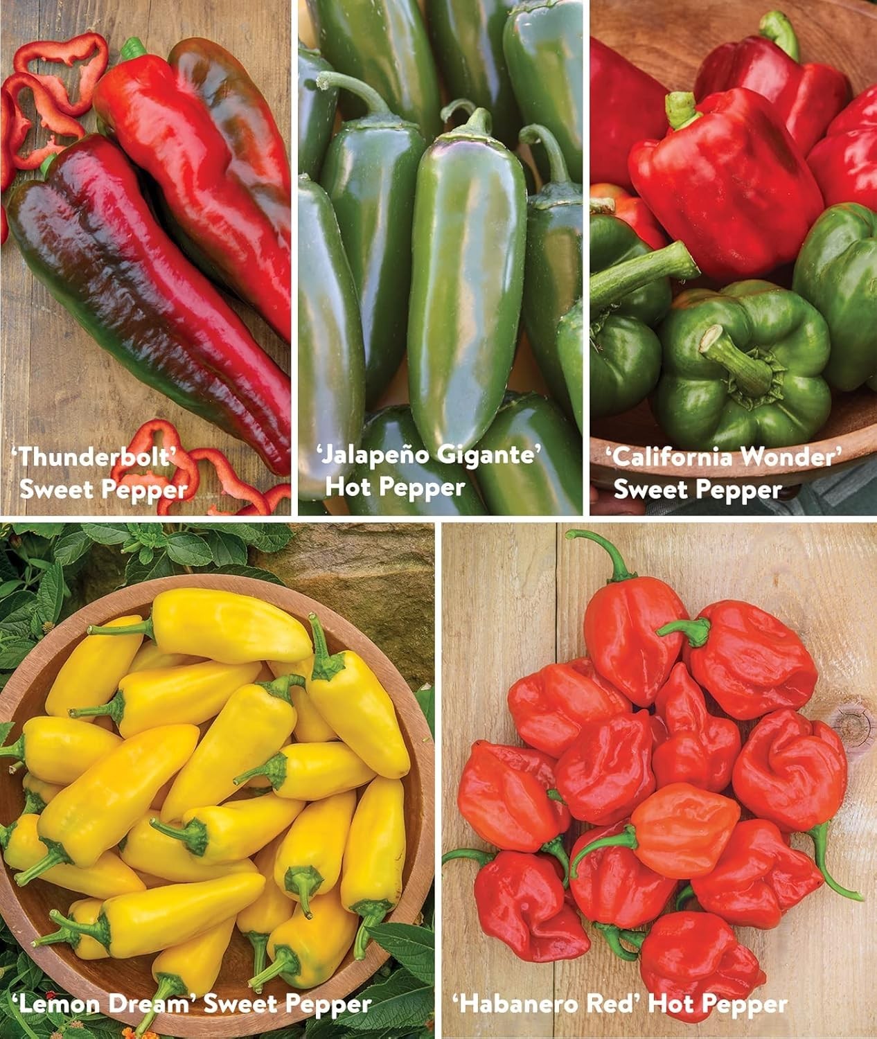 Expertly Handpicked Best 10 Non-GMO Pepper Seeds for Flavorful Harvests