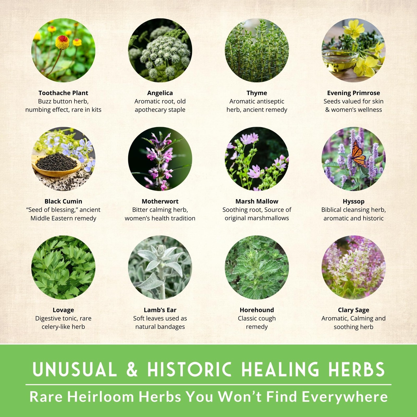 Ultimate Medicinal Herb Seeds Variety Pack – 36 Heirloom Non-GMO Healing Herb…