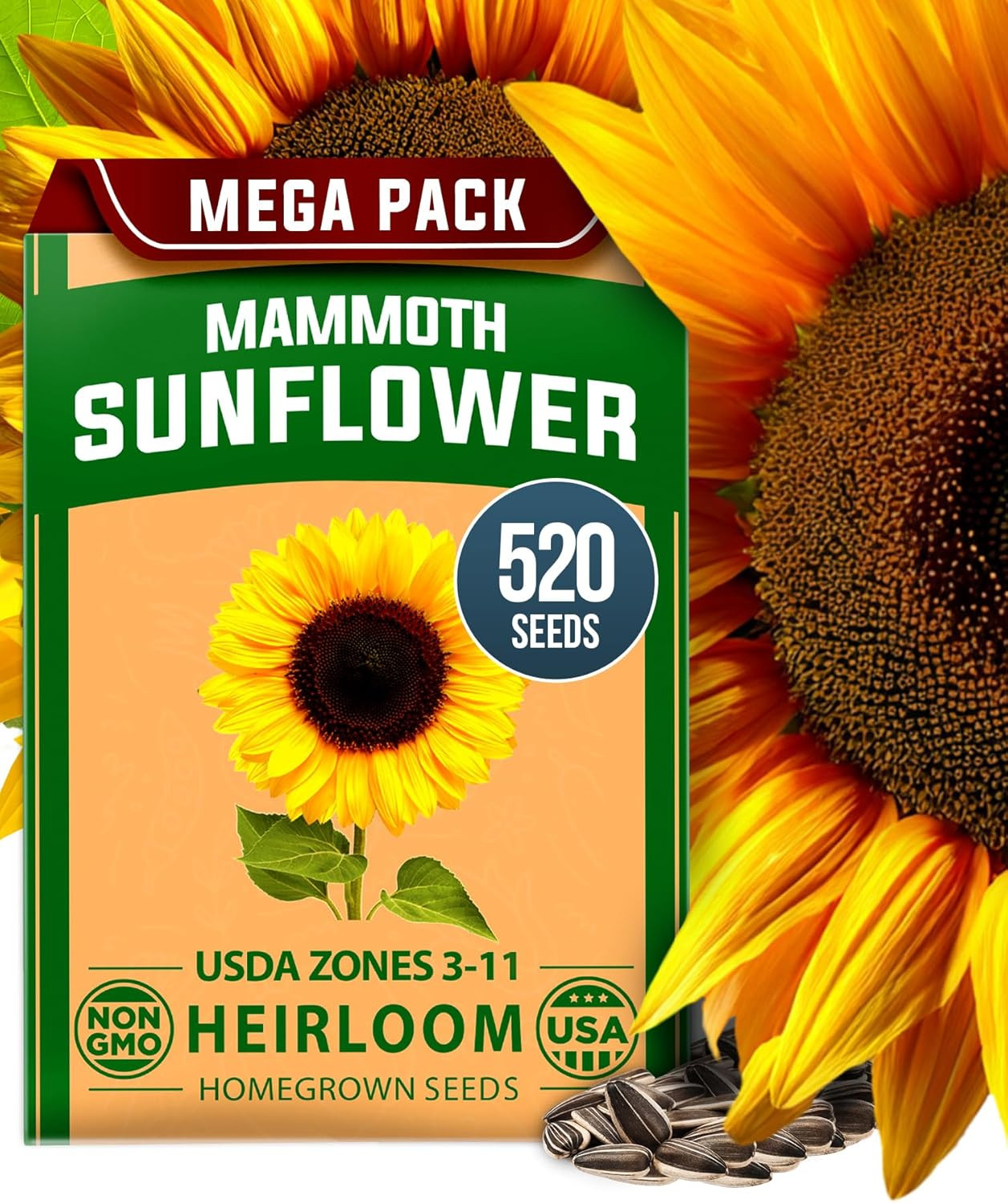 Sunflower Seeds to Plant | 520+ Giant Mammoth Sunflower Seeds for Planting Bulk