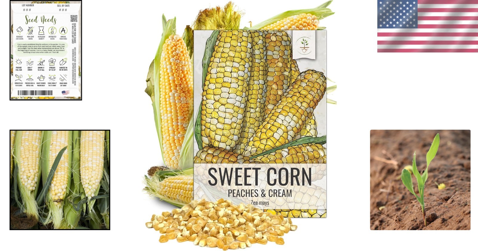 Delicious Peaches & Cream Non GMO Sweet Corn Seeds – 1.5 Ounce Bulk Package