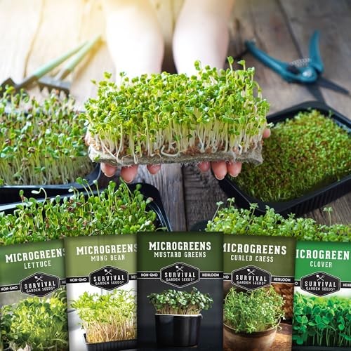 Microgreens Seeds-Variety Pack for Sprouting – Mustard, Mung Bean, Curled 5