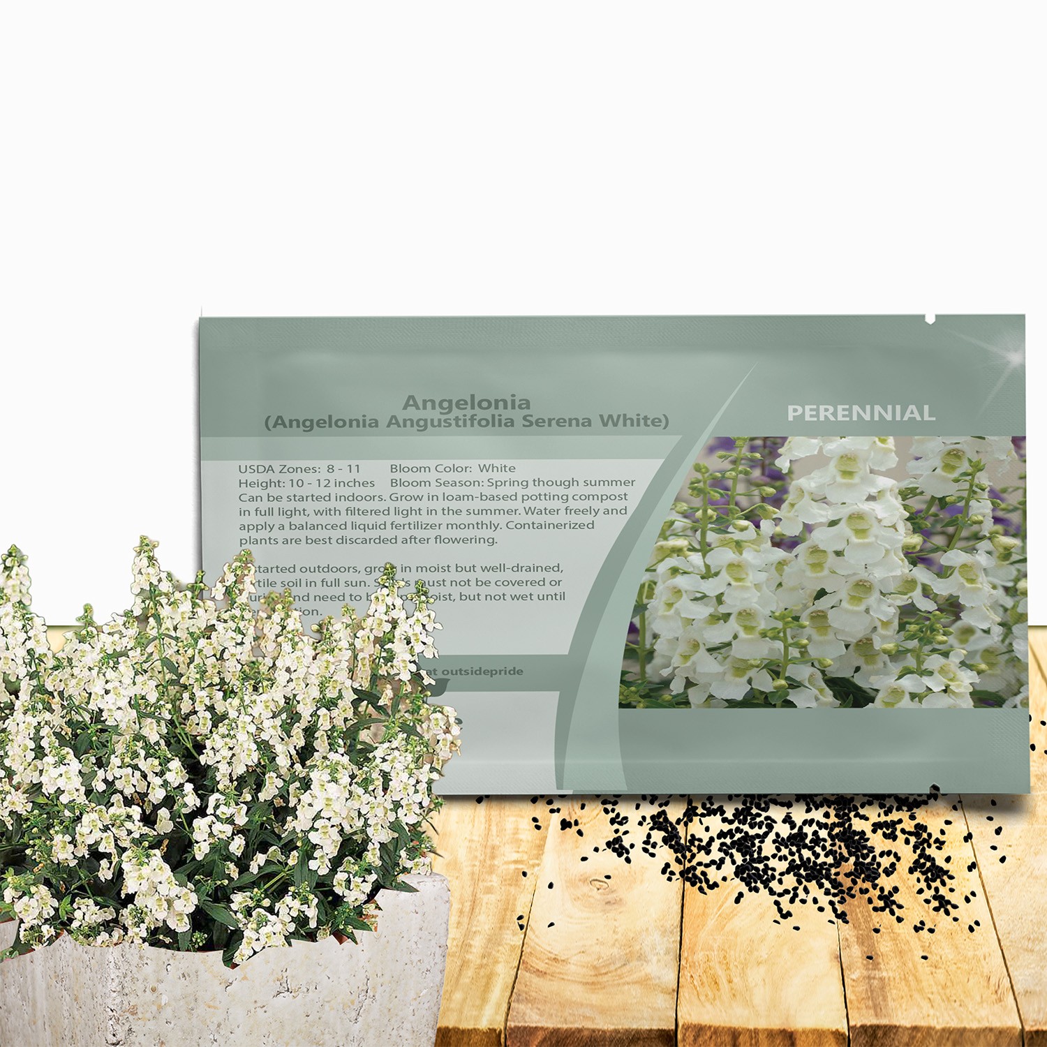 15 Seeds White Angelonia Seeds – Heat Tolerant Flowers