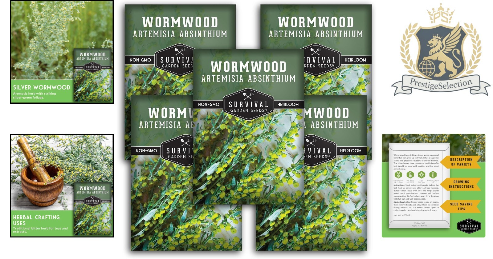 5-Pack Heirloom Wormwood Seeds – Deer Resistant Medicinal Herb for Home Gardens