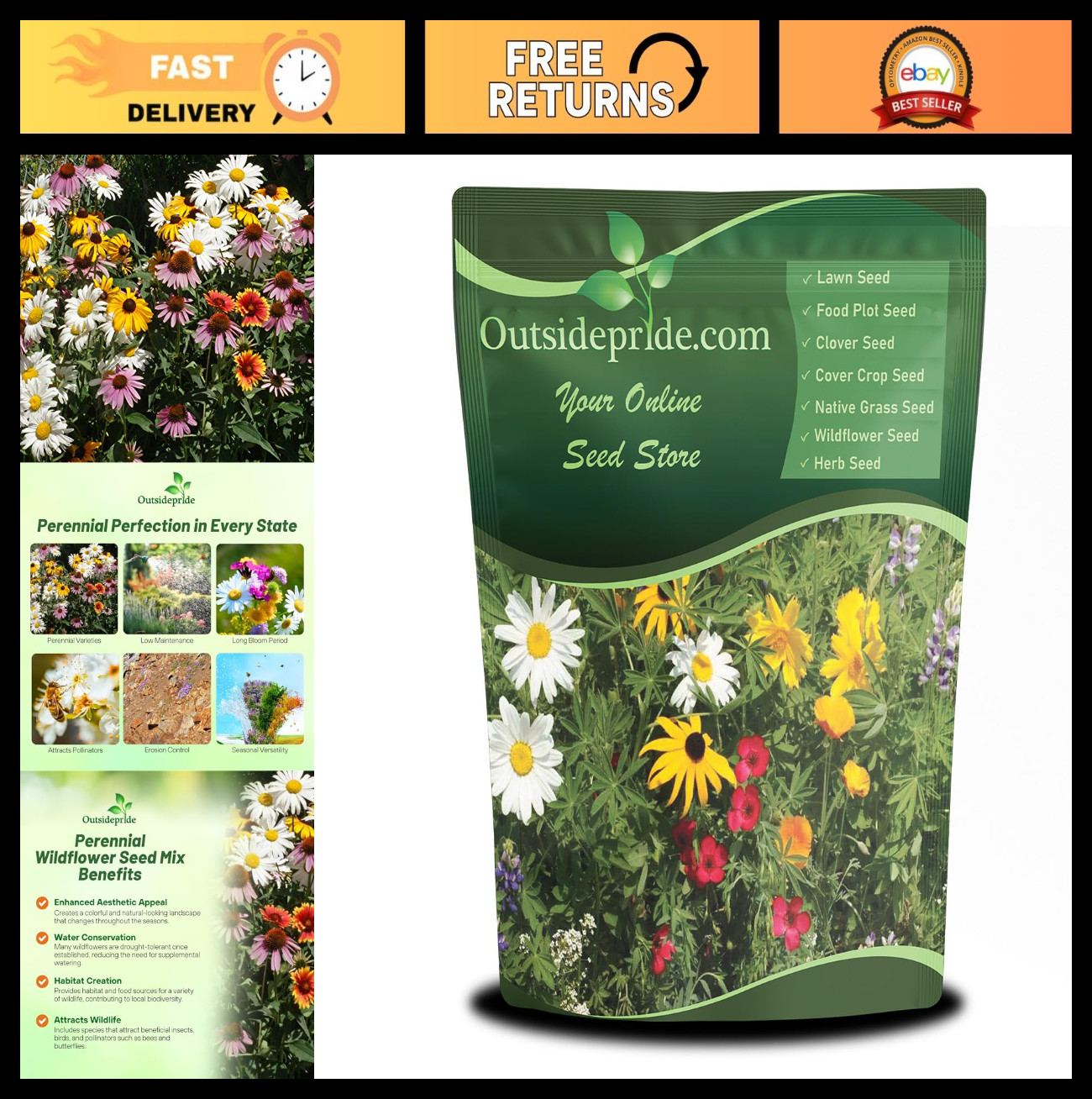 Diverse Perennial Wildflower Seed Mix – 1 lb, Easy to Grow, Attracts Pollinators