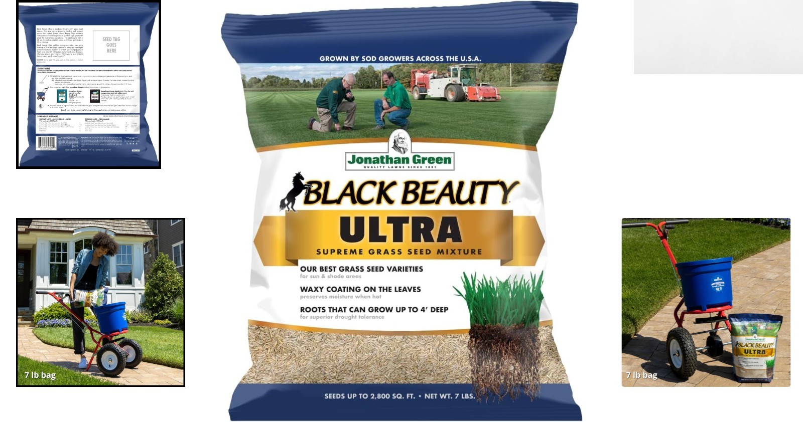 7 lb Black Beauty Ultra Grass Seed for Deep Green Lawns – 1,400 sq. ft. Coverage
