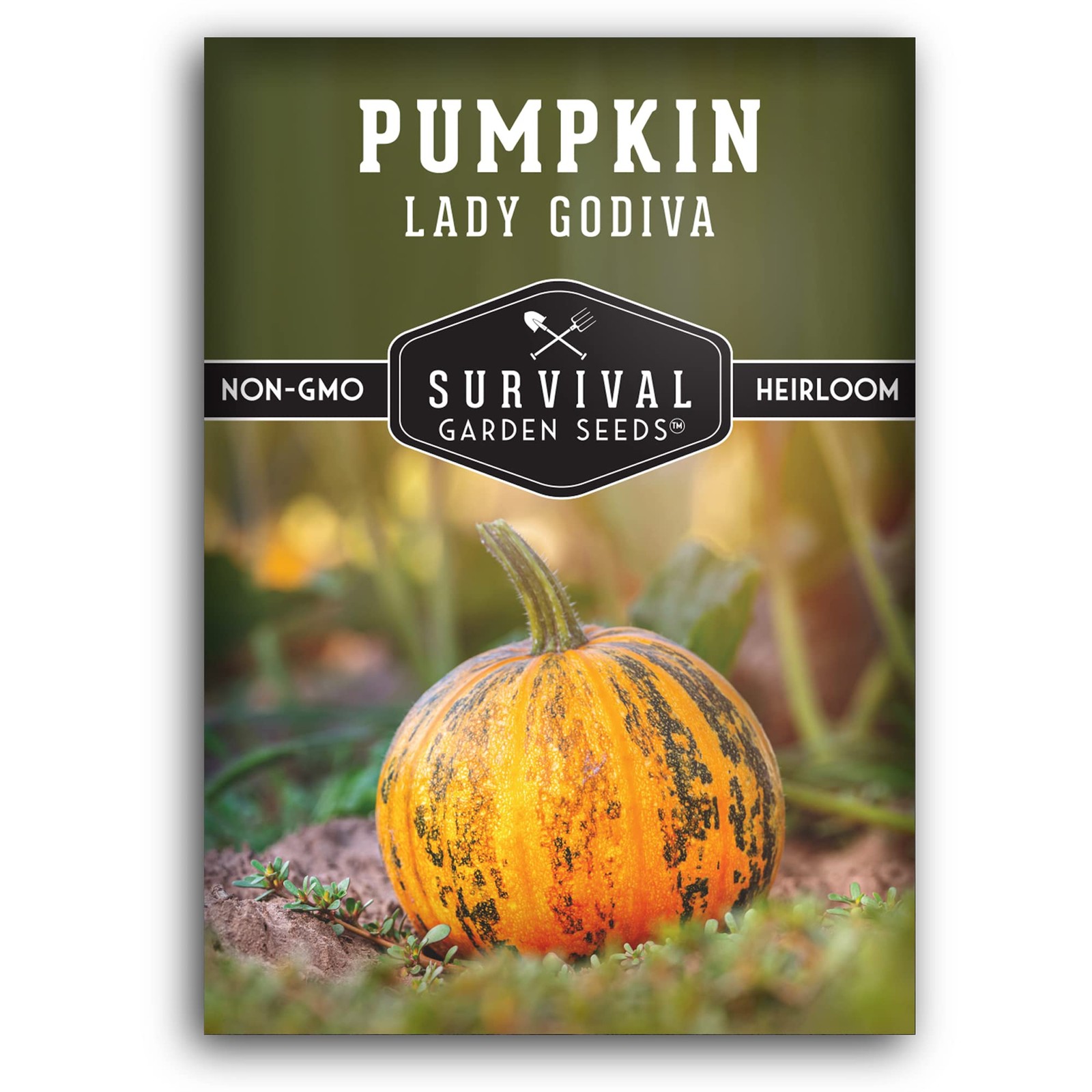 Lady Godiva Pumpkin Seeds for Planting – Hulless Styrian Pepita Pumpkins – No…