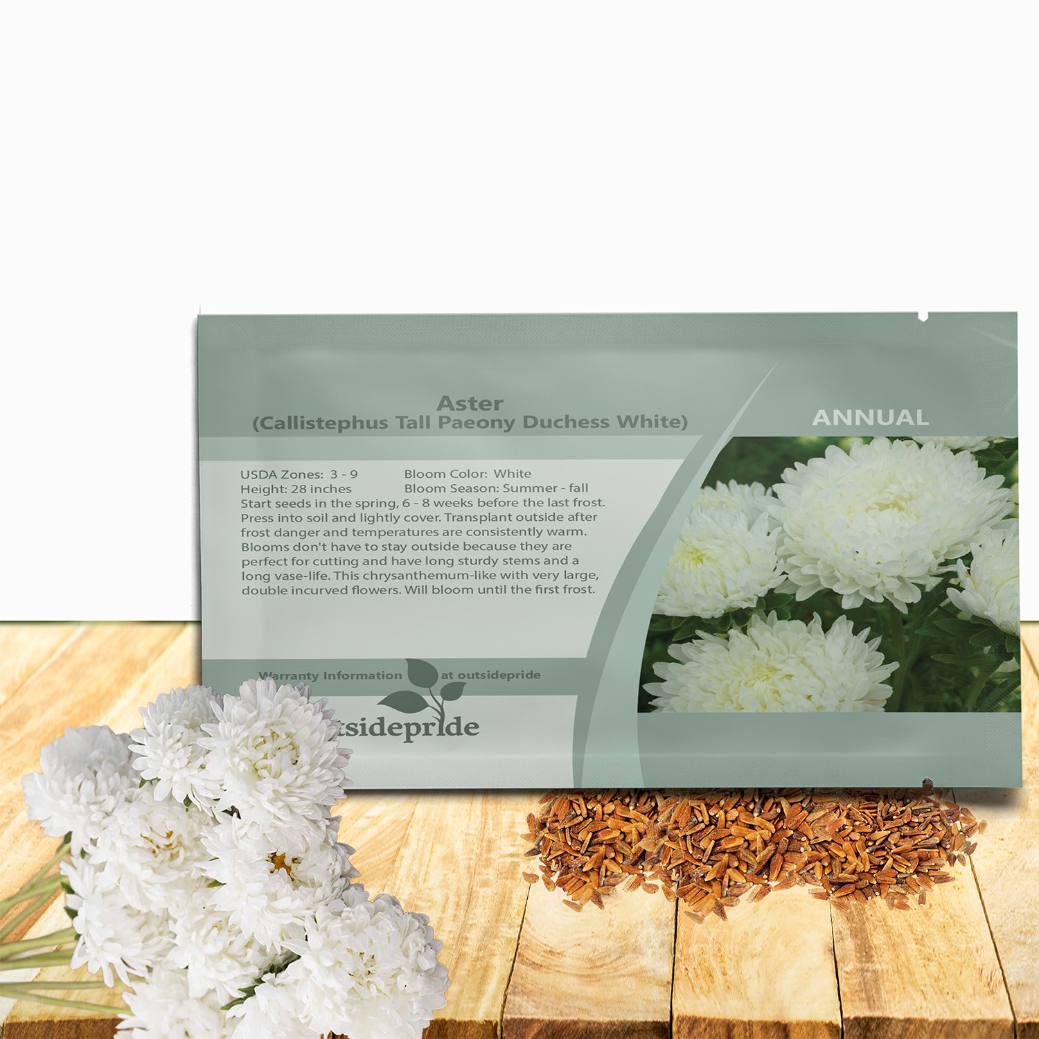 2000 Seeds Aster Seed – Aster Callistephus Paeony White Double Flower Seeds