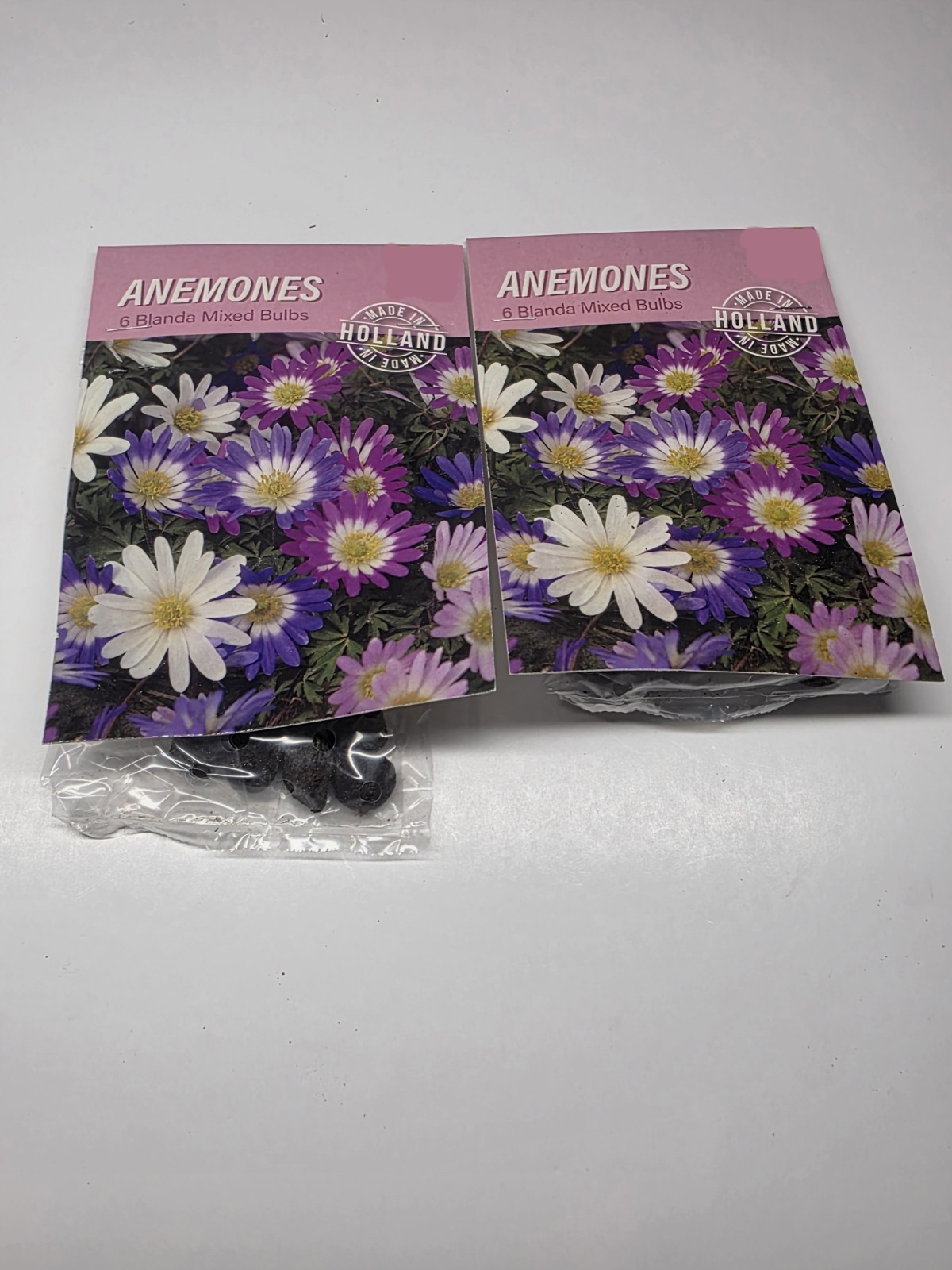 Easy to Grow Anemone Blanda Mixed Plant Bulbs Spring Blooming Flowers