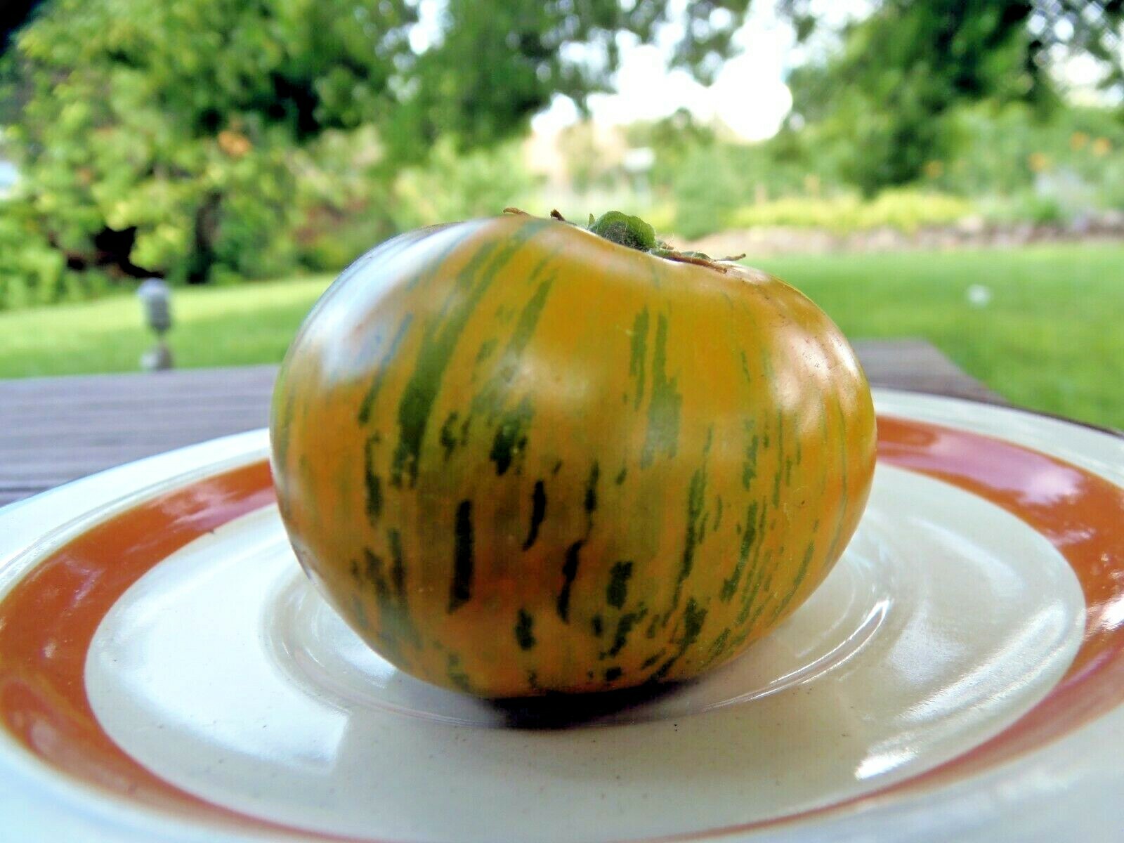 Lucinda green-striped tomato with intense and spicy flavor.
