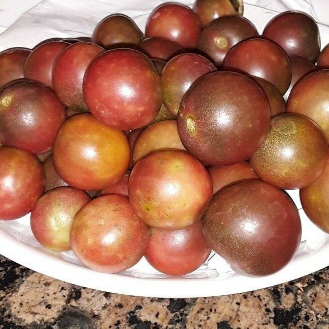 50 Black Cherry Tomato seeds. NON-GMO. No pesticides or herbicides used.