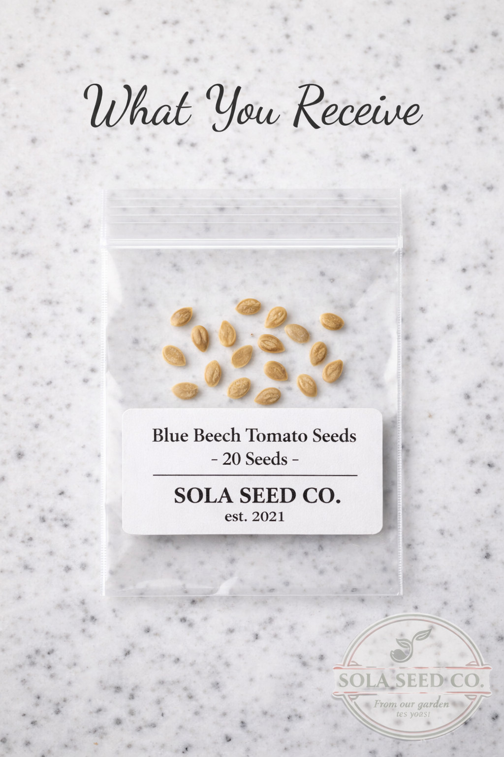 20 Rare Organic Blue Beech Tomato Seeds-Paste-Sauce-Slicer Non-GMO Free Ship