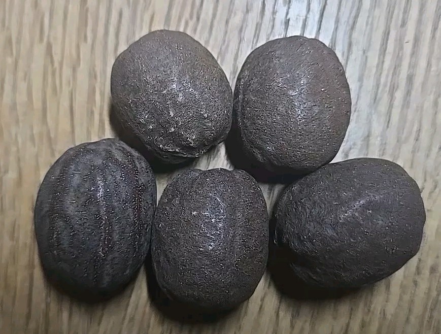 Silver Bismarckia Palm Tree – 5 Seeds, Bismarckia Nobilis 2024