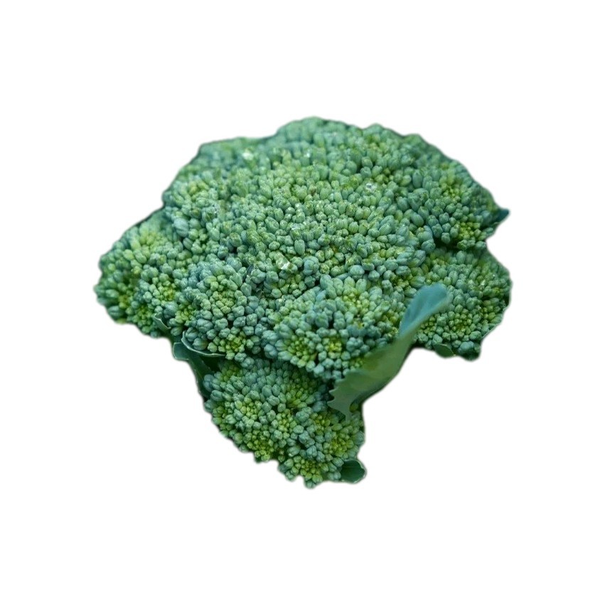 Waltham 29 Brocolli Seeds Organinc Non Gmo 700 + Quantity