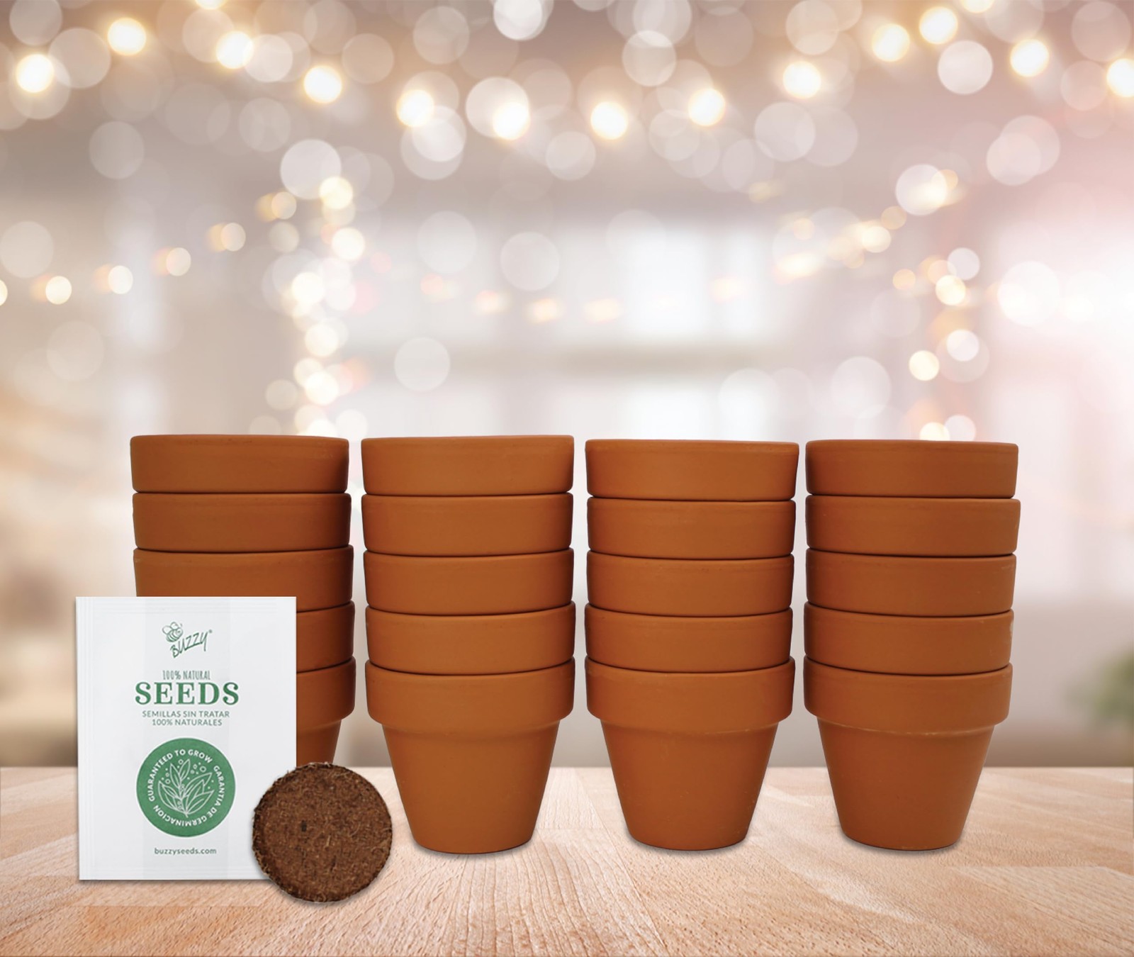 Seeds Spruce Terracotta Mini Grow Pots – Indoor Tree Starter Kit Bulk 20-Pack…