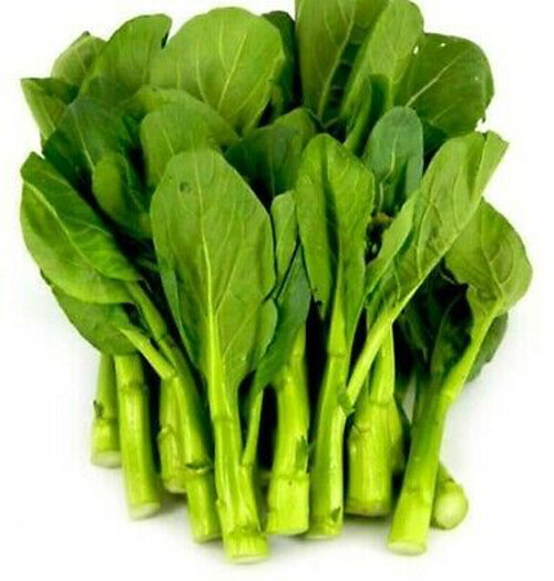 200+ seeds Asian Yu Choy Choi Sum Choy Sum Chinese Flowering Cabbage Veggies USA