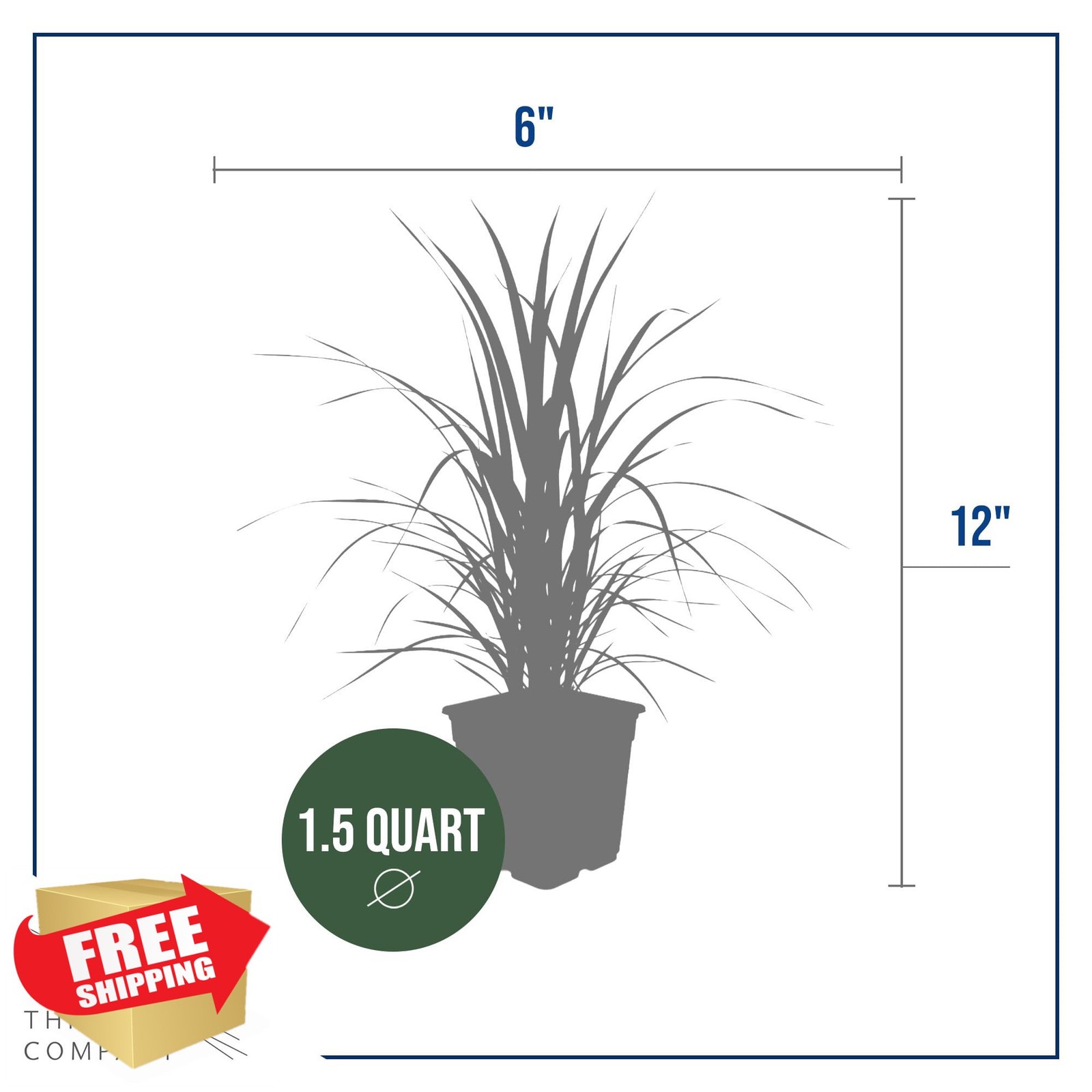 The Three Company Pampas Grass 2 Pack White Pink