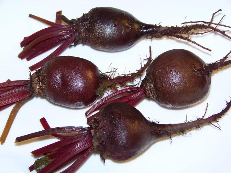 163 SEEDS – beet – DETROIT DARK RED – GroCo USA – BUY 15-SHIPS FREE