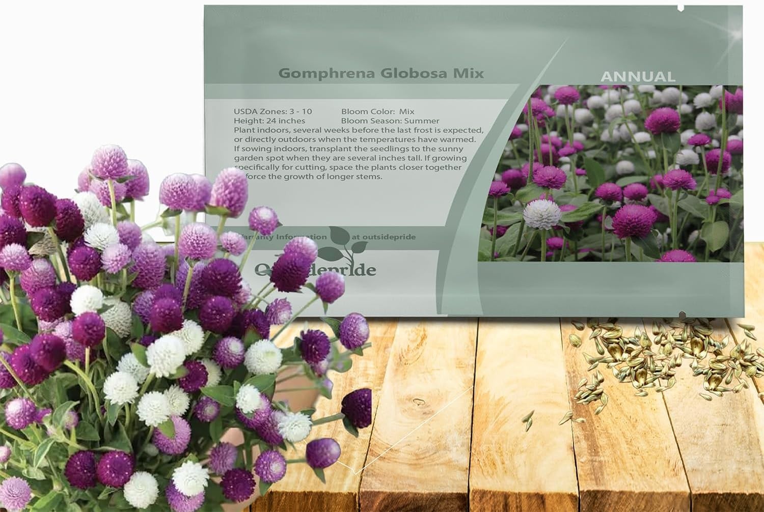 Mixed Gomphrena Seeds – 1000 Pcs Annual, Heat & Drought Tolerant, Pollinator …