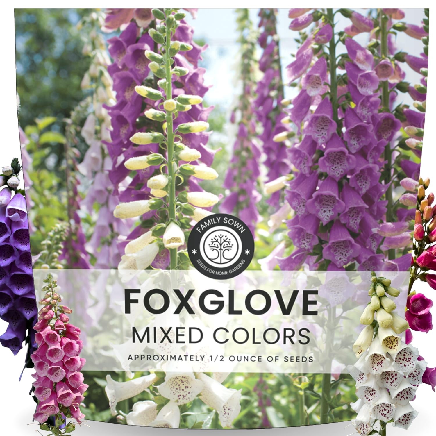 Mixed Color Foxglove Seeds 2,000 Count for 2026 Planting 1/2 Ounce Pouch