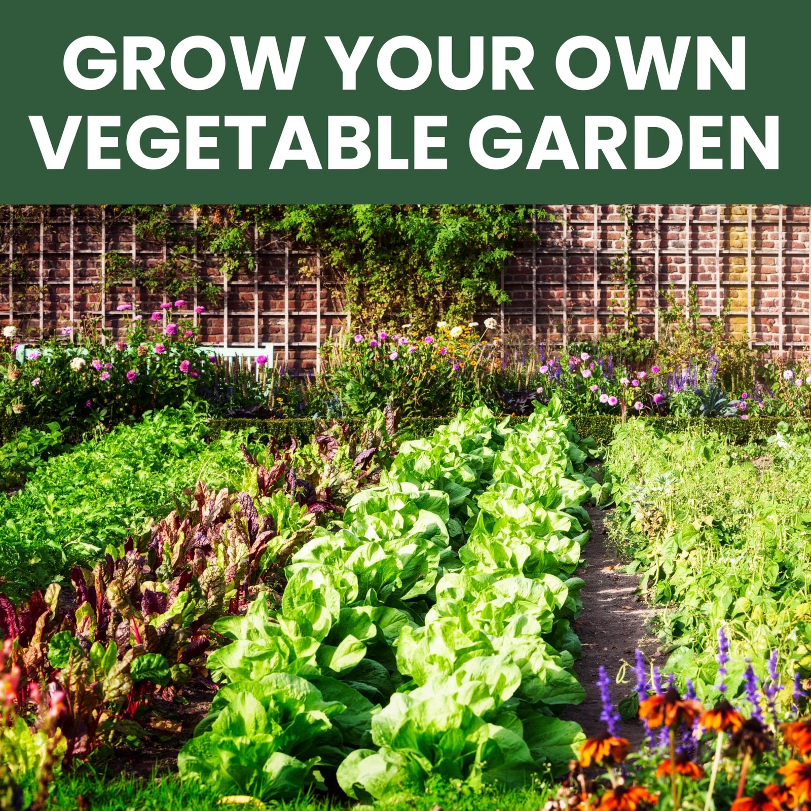 35 Vegetable Seed Packets | Survival Variety Pack | 2026 Season | Individuall…