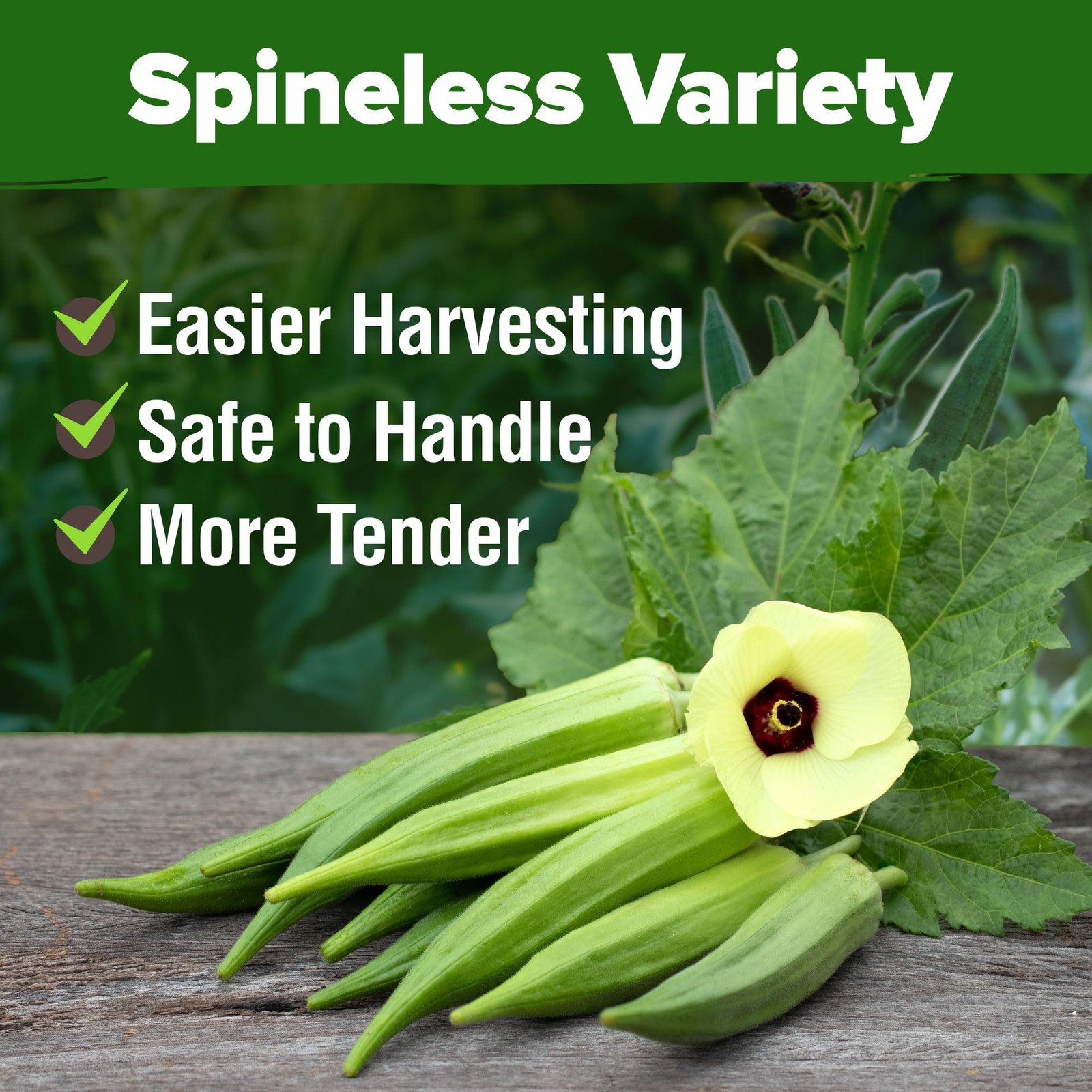 Clemson Spineless Okra Seeds 101+ Heirloom NonGMO Vegetable Seeds for Plantin…