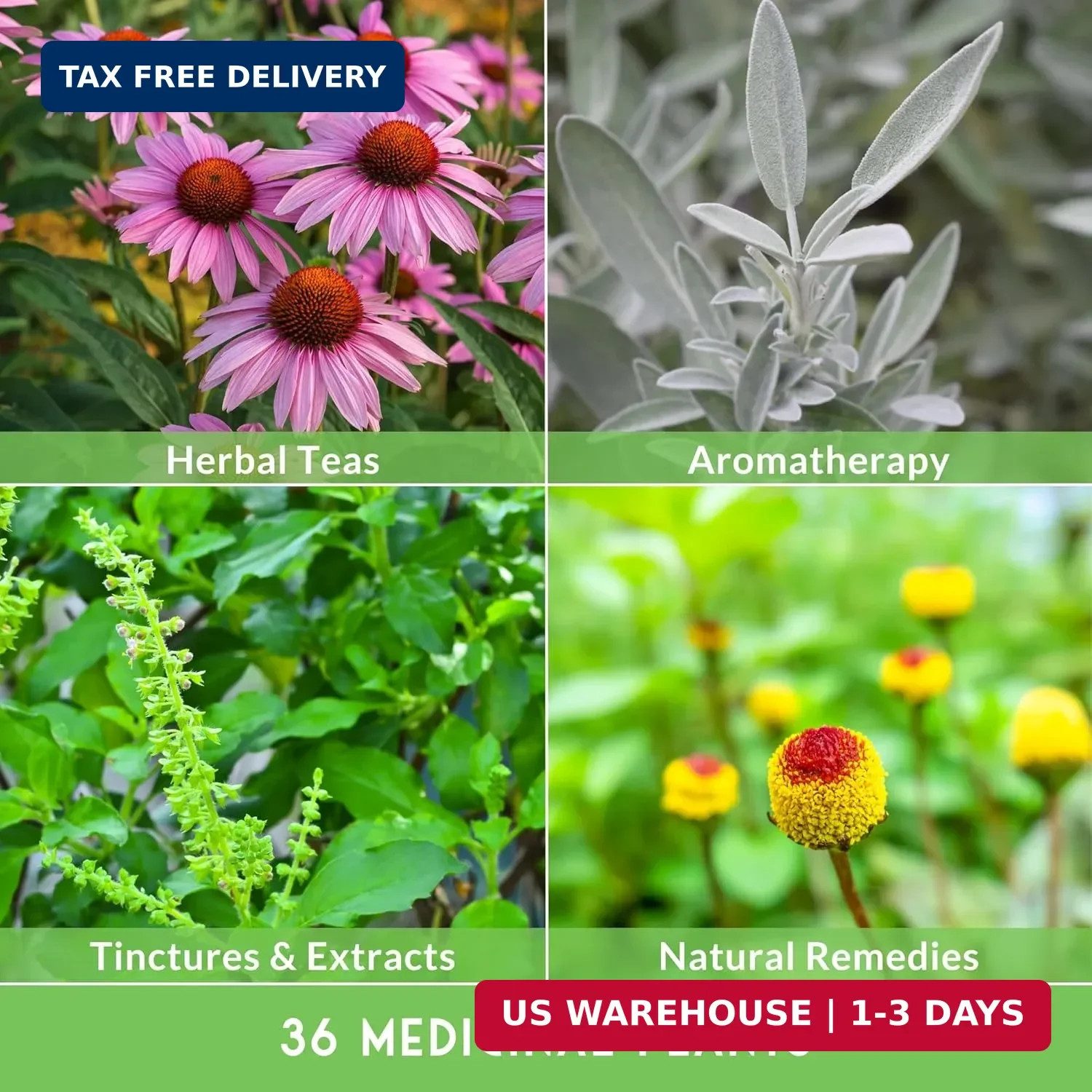 Ultimate Medicinal Herb Seeds Variety Pack – 36 Heirloom Non-GMO Healing Herbs f