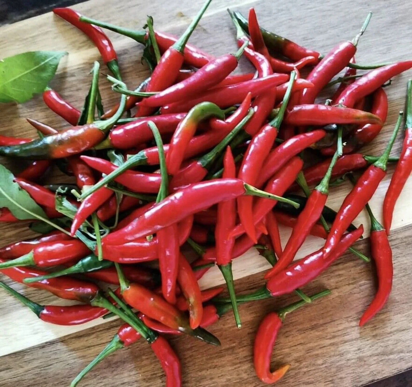 x 30 SEEDS SILING LABUYO CHILI PEPPER FILIPINO BIRDS EYE PEPPER SEEDS PHILIPPINE