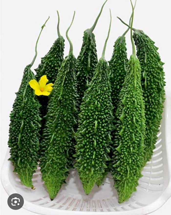 15 Bitter Melon Seeds ( Hybrid )– Traditional Asian Vegetable Vine