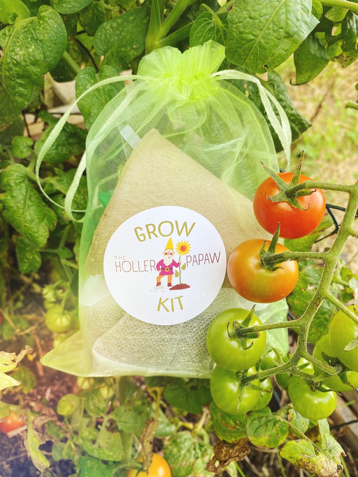 Indoor Fruit and Vegetable Grow Kit Gift Set – Heirloom Seeds! – Free Shipping!