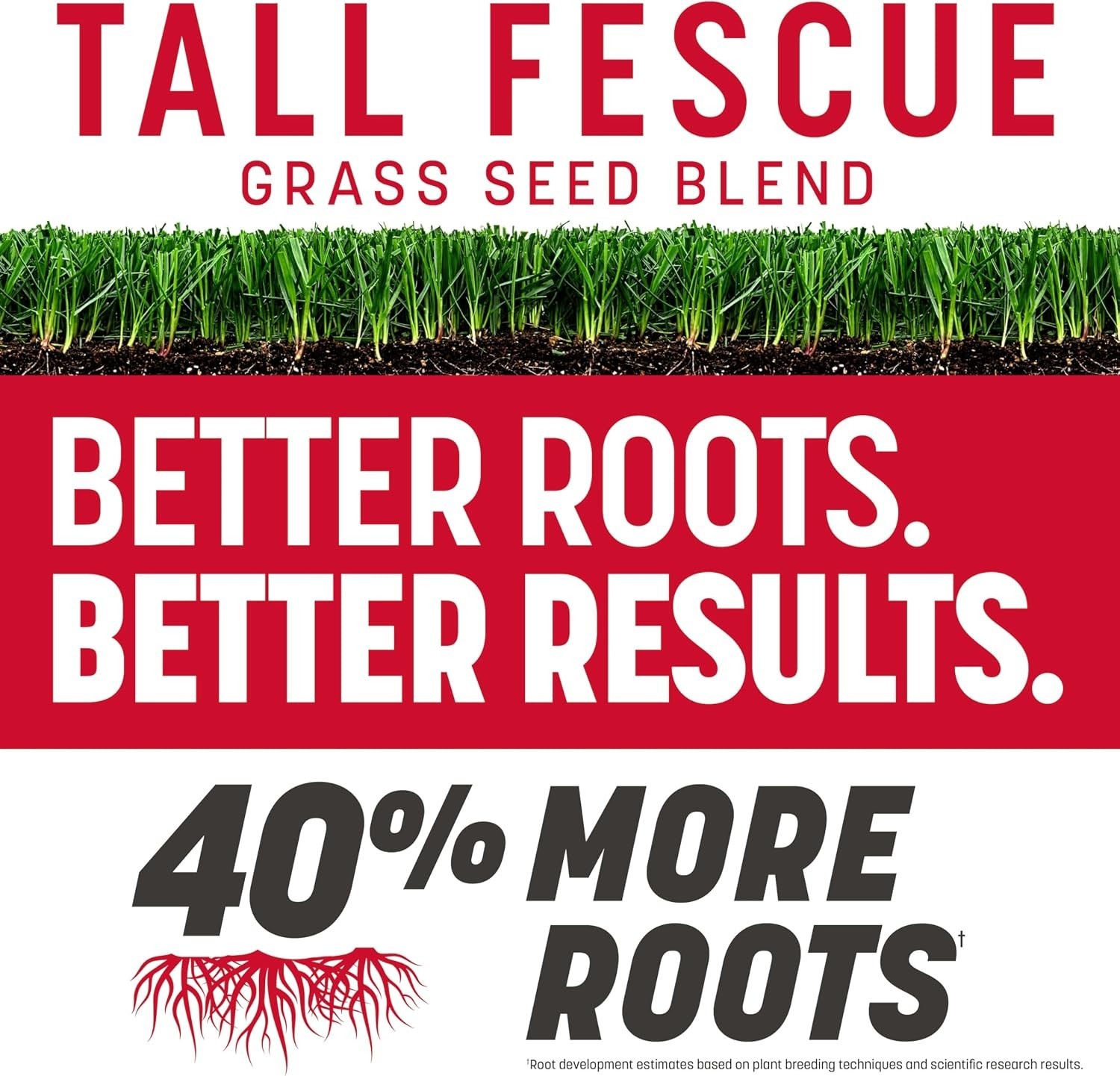 Rebels Tall Fescue Seed Mix, 10,000 sq ft Coverage