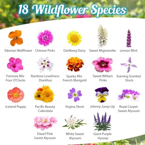 Fragrant Wildflower Seeds Mix – 1oz, Aromatic Annual and Perennial Wildflower