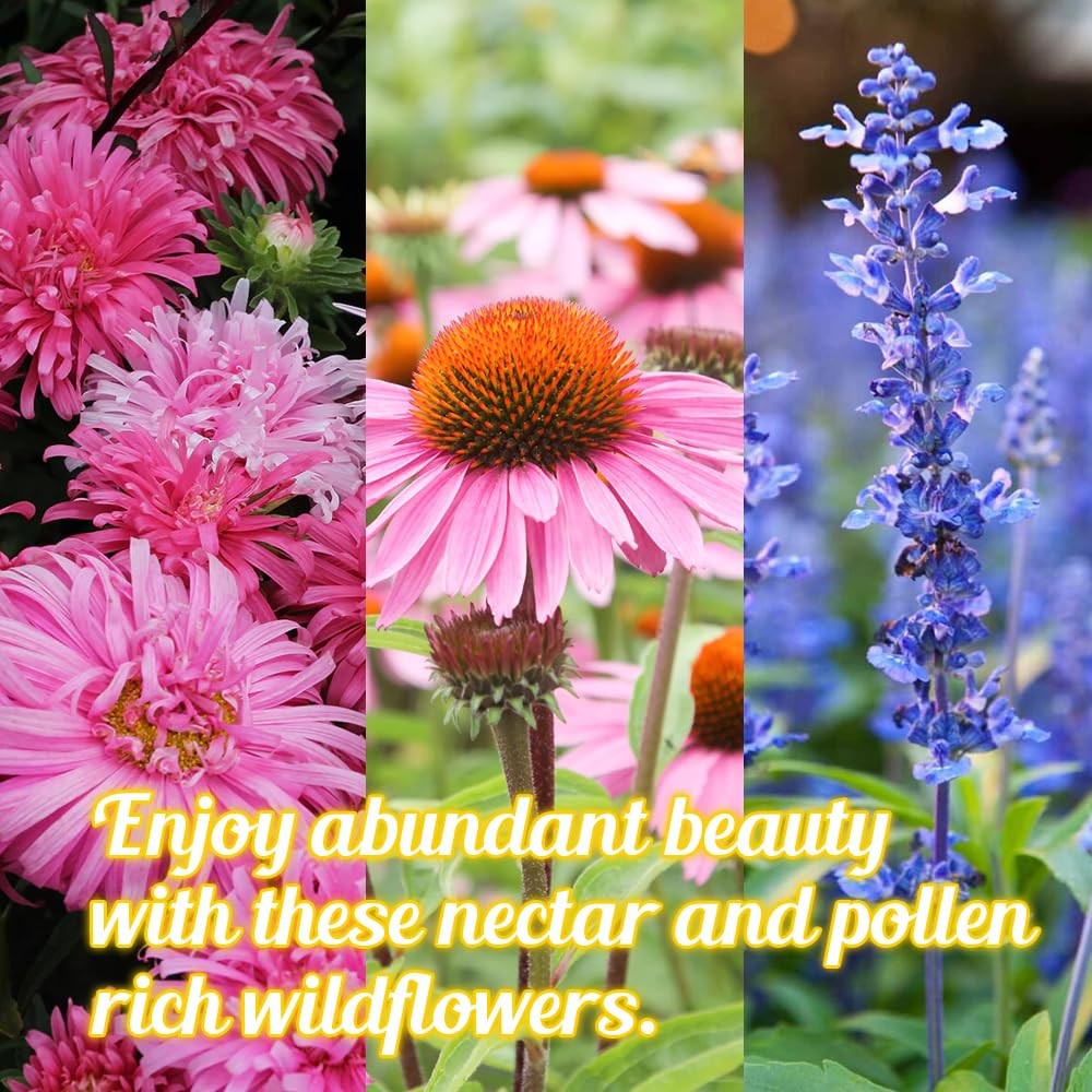 Honey Source Wildflower Seeds Mix for Honey Bees 4oz, Premium Annual and Per…