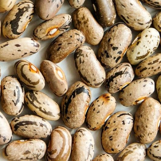 Rattlesnake Bean Seeds (Pole) | Purple Green Dragon Runner Snake Beans Seed 2024