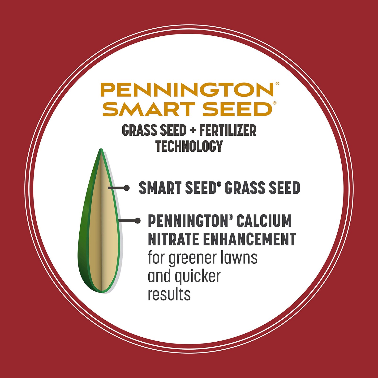 Smart Seed Perennial Ryegrass 3 lb