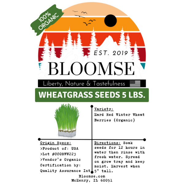 BULK Organic Wheatgrass Seeds Hard Red Winter Wheat Berries 5 Pounds