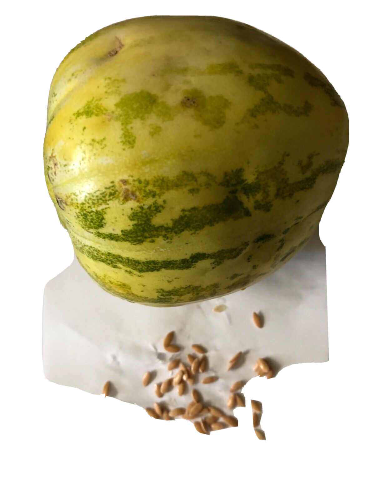 30 PCS ORGANIC MIXED SWEET MELON SEEDS READY TO PLANT GROWN IN USA