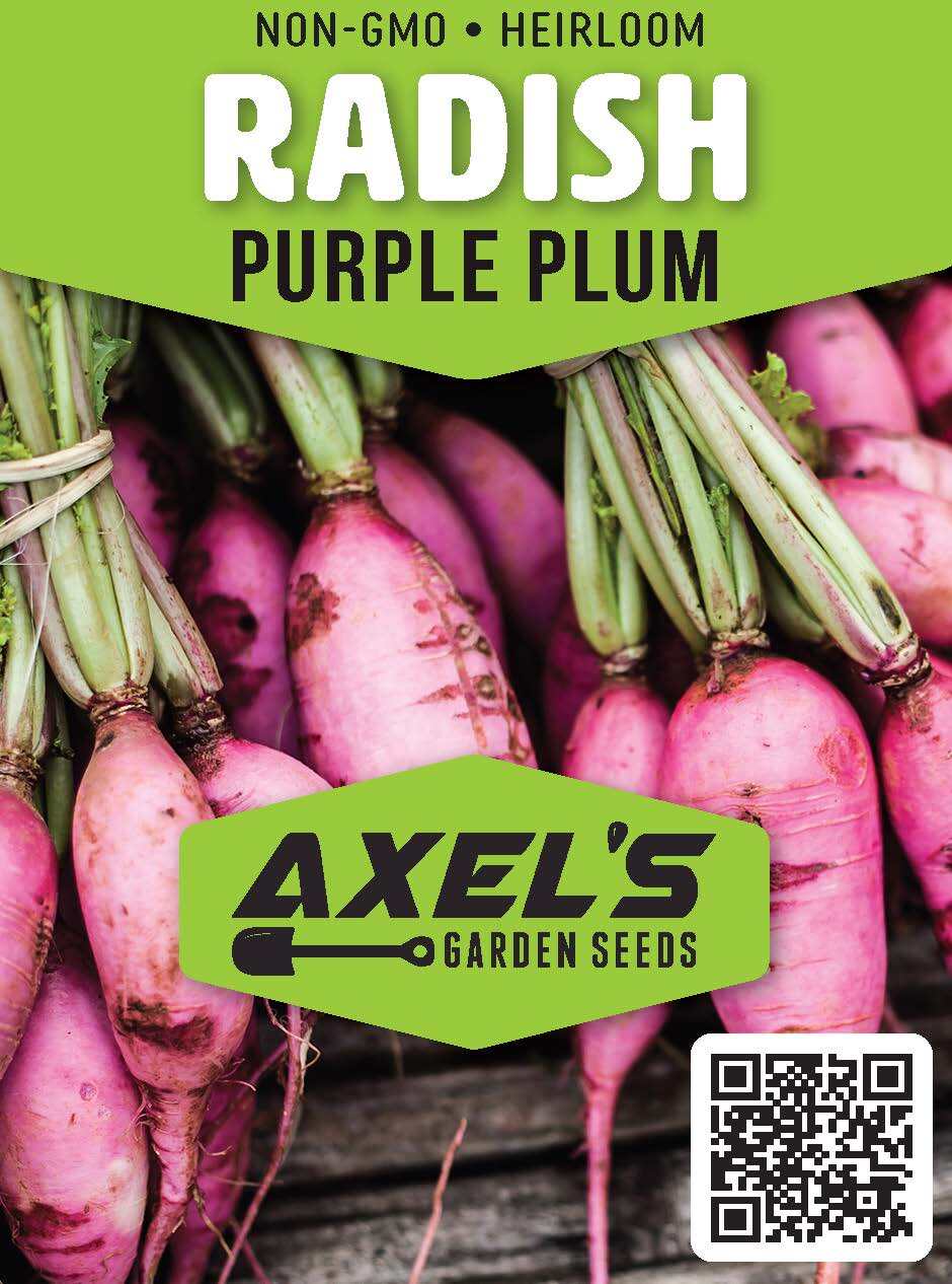 Radish Seeds – Fast Growing Heirloom Non GMO, Free Shipping, Purple Plum