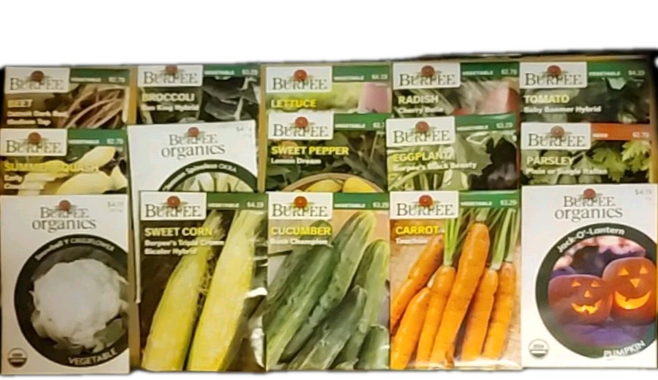 30 PACKS BURPEE VEGETABLE SEEDS NICE ASSORTMENT DATED: 2025 FREE SHIPPING USA
