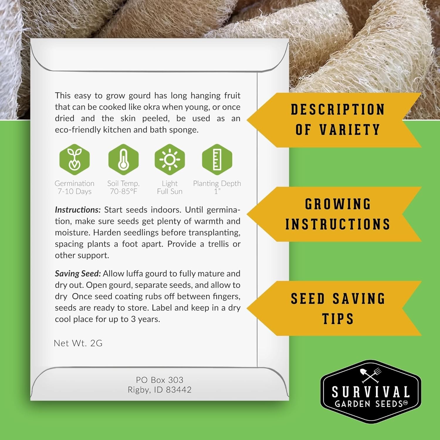 Luffa or Loofah Seed for Planting – 1 Packet with Instructions to Plant and G…